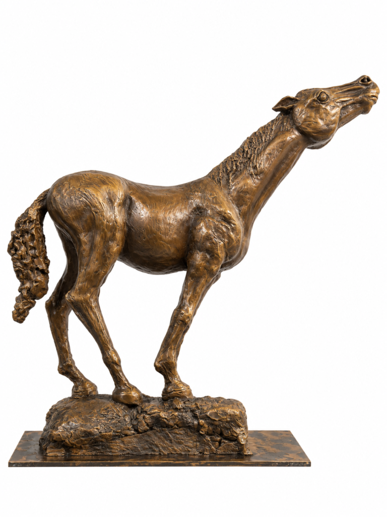 Equus de Dan Trullén sobre fondo blanco